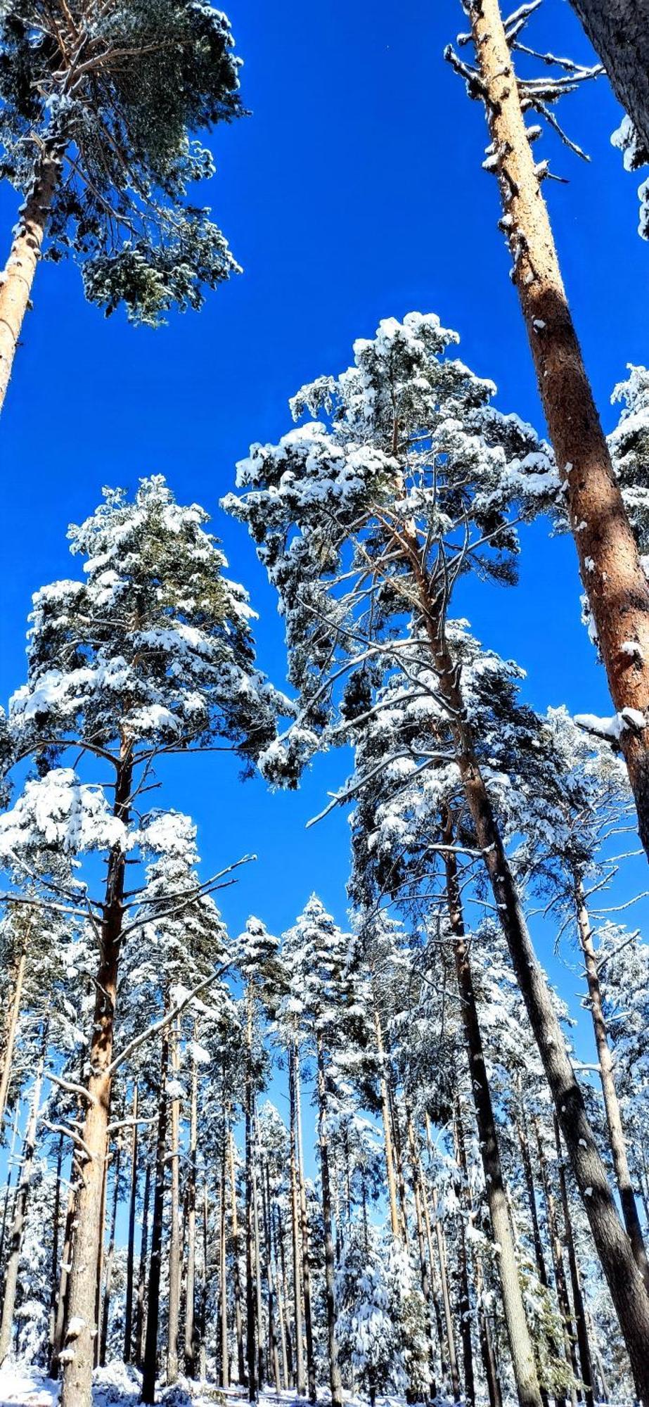 Las Colmenillas 1 Tragacete Dış mekan fotoğraf