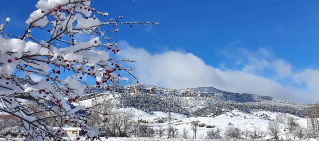 Las Colmenillas 1 Tragacete Dış mekan fotoğraf