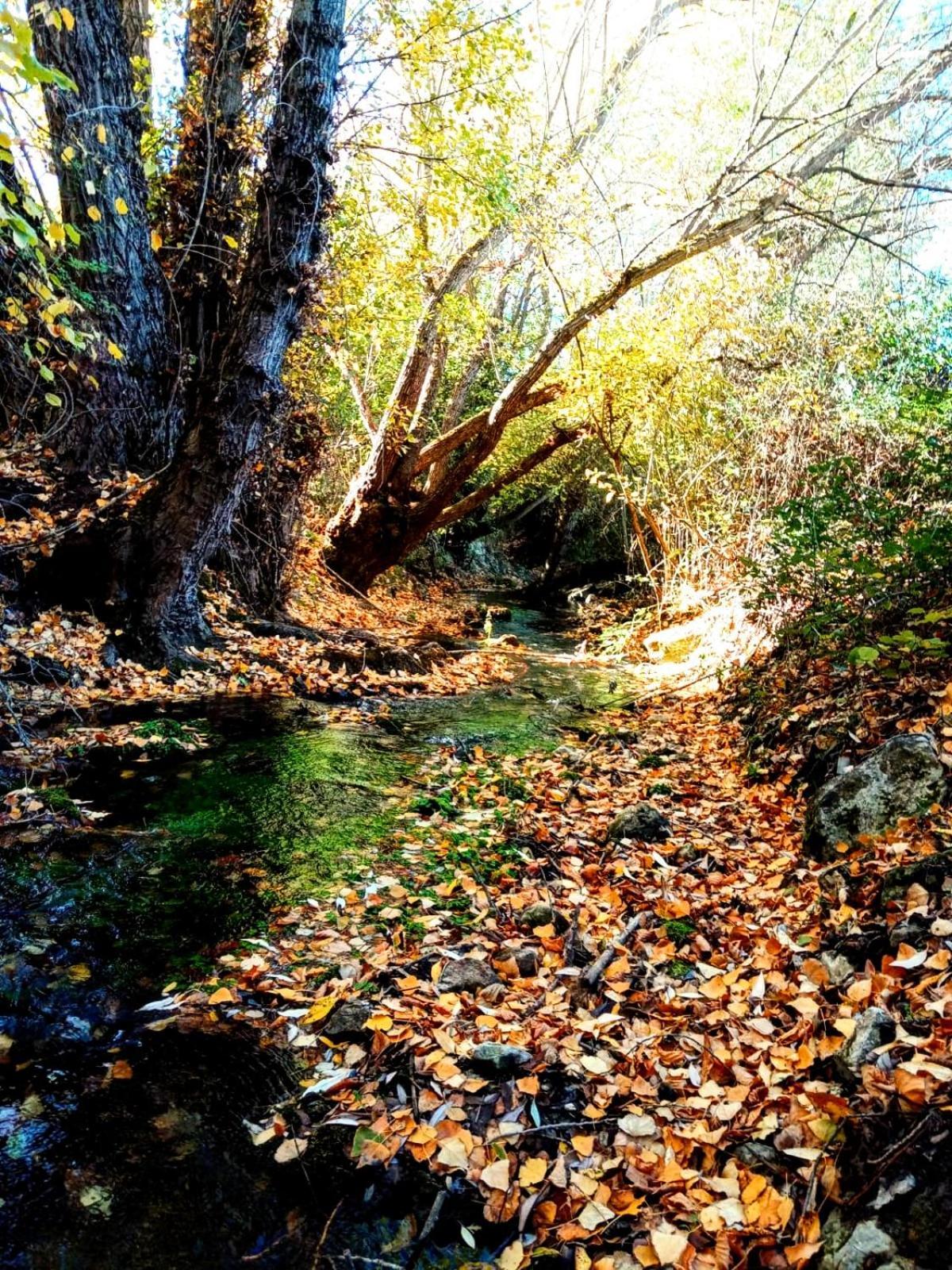 Las Colmenillas 1 Tragacete Dış mekan fotoğraf