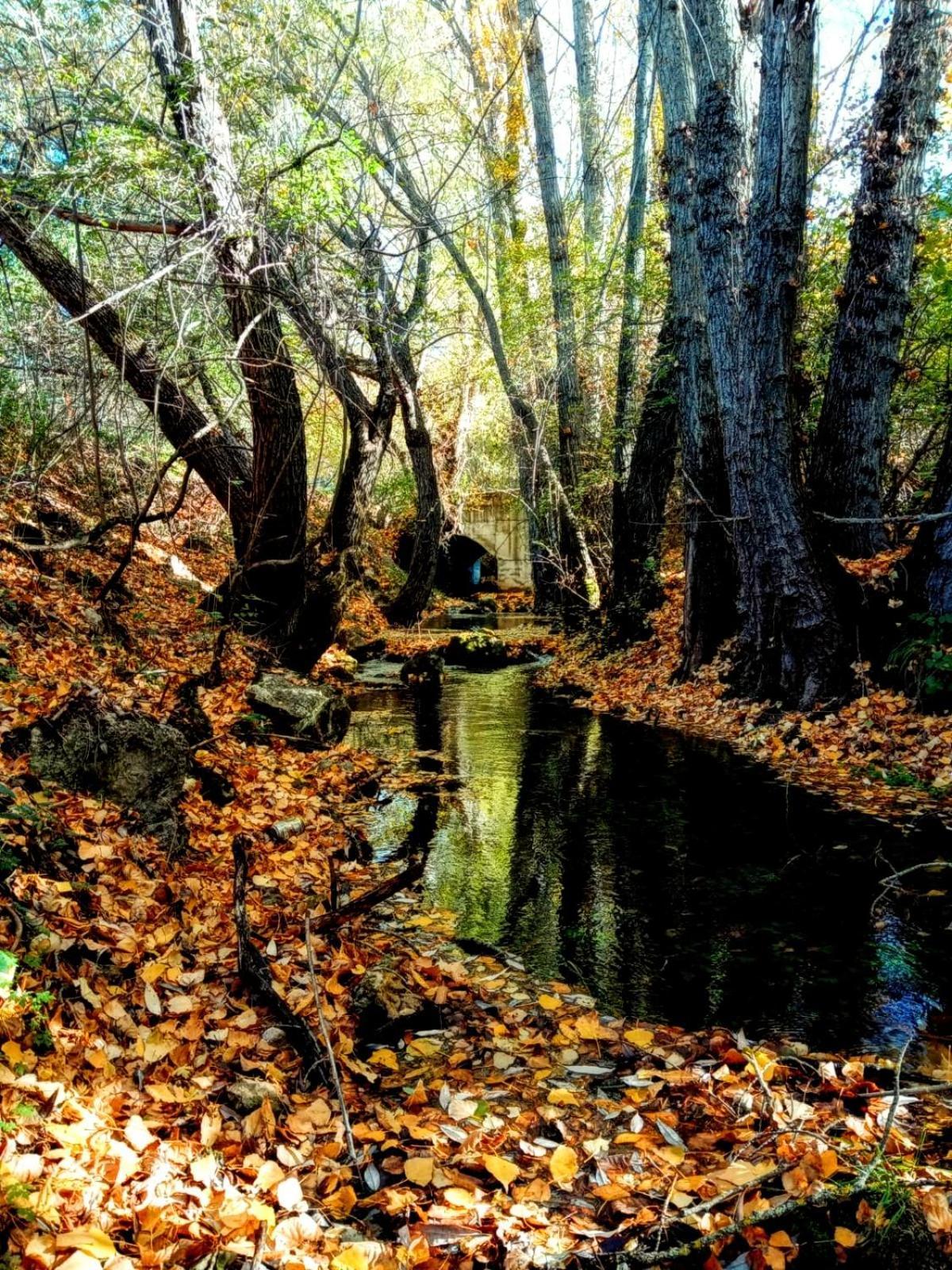 Las Colmenillas 1 Tragacete Dış mekan fotoğraf